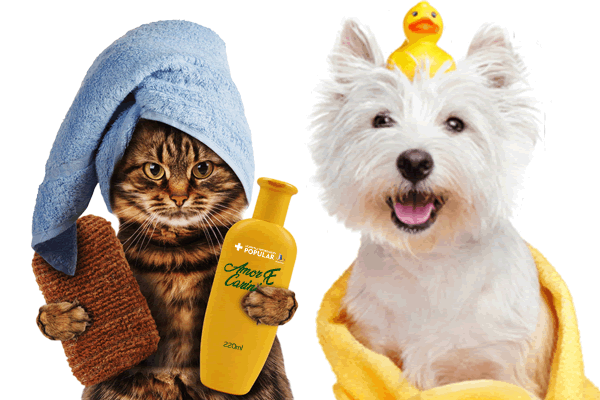 Bem Cuidado Pet Shop